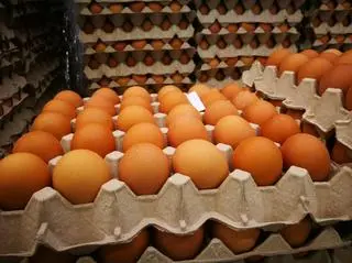 Średnio za tuzin jajek trzeba zapłacić 4,95 dolara