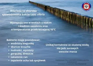 Aktualnie czytasz: Mięsożerna bakteria Vibrio vulnificus opanowuje nowe tereny. To efekt zmian klimatu