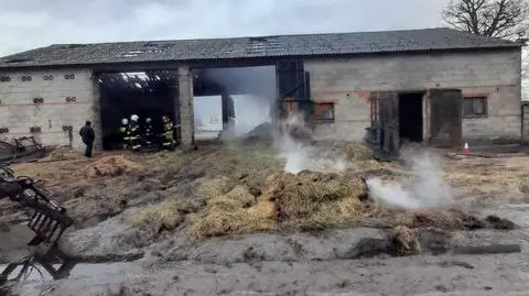 "Ogień raczej nie pojawił się tam przypadkowo". Czwarty nocny pożar na tej samej posesji