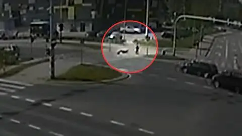 Senior zasłabł na przejściu dla pieszych