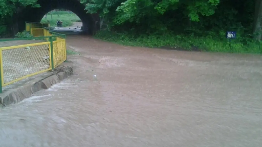 Rybnica
