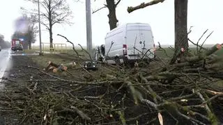 Drzewo spadło na busa na północy Wielkopolski