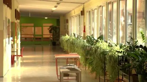 1101N337XR PIS DNZ OTREBA TESTY I SZKOLY