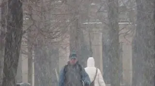 We Wrocławiu zrobiło się biało