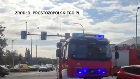 prostozopolskiego
