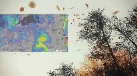 sklejka vent