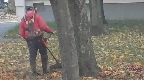 W ruch poszły kosy spalinowe. Mieszkańcy: nie ma to, jak kosić liście 