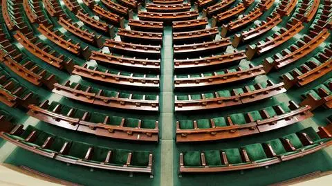 sejm shutterstock_612402533