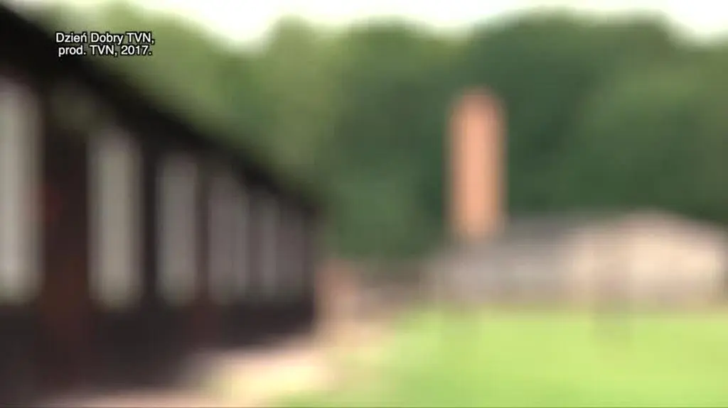 ddtvn
