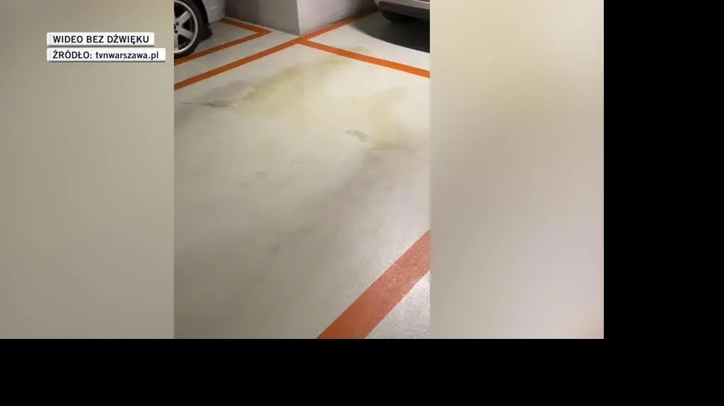 dla Kasi 
