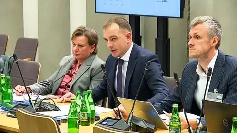 Na sejmowej komisji o działalności PAŻP. Oglądaj na żywo w TVN24 GO