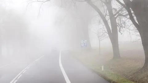 W wielu miastach mgły ograniczają widzialność