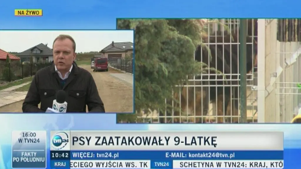 Psy zaatakowały 9-latkę