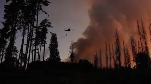 Polish firefighters and police to help tackle fire in Czech national park
