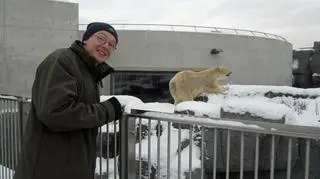 Wybieg dla niedźwiedzi polarnych