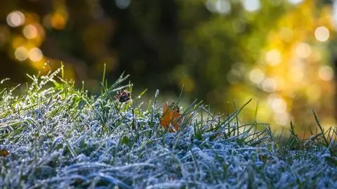 Alerty przed przymrozkami w części kraju. W święta ostrzeżenia mogą objąć całą Polskę 