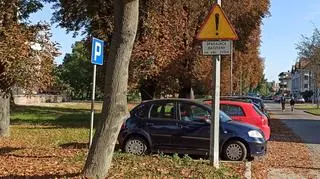 Znak ostrzega właścicieli aut przed spadającymi kasztanami