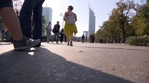 2609N366XR PIS DNZ WIECZOREK