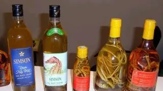 Koniki morskie w butelkach