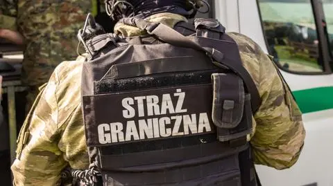 Akcja służb na autostradzie A4. 33 obcokrajowców zatrzymanych