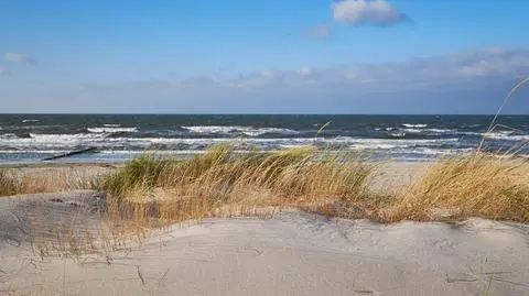 Sinice w Bałtyku [materiał "Faktów" TVN z 26 lipca]