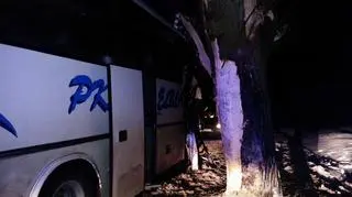 Autobus PKS uderzył w drzewo na drodze krajowej nr 55