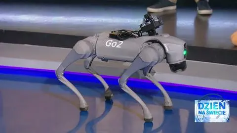 robot caly