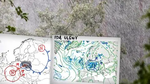 Do Polski zmierzają długotrwałe ulewy. "Zapachnie jesienią"