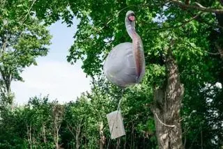 Balon w kształcie łabędzia znaleziony w lesie