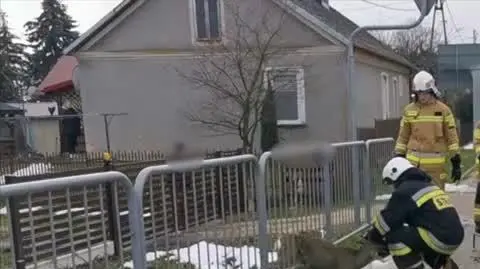 Sarna utknęła między barierkami