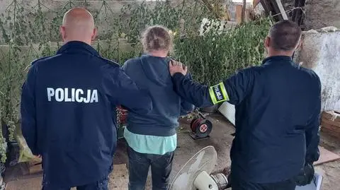 Na posesji 92 krzaki konopi indyjskich i susz marihuany. Policja: plantator poszukiwany listem gończym