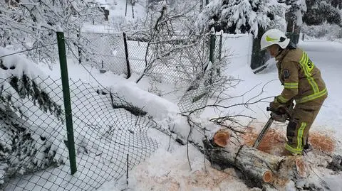 Podkarpaccy strażacy po intensywnych opadach śniegu w ciągu ostatniej doby interweniowali ponad 160 razy 