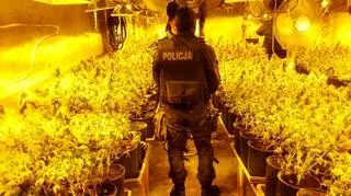 Policja nie wyklucza kolejnych zatrzymań 
