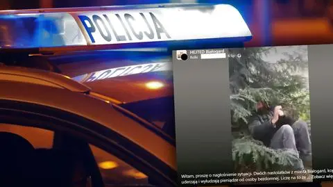 policja