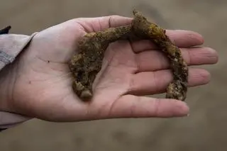 Na placu budowy znaleziono około 100 obiektów archeologicznych