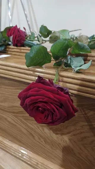 Na trumnie położono czerwone róże