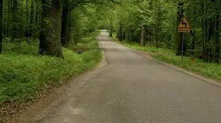 Tak obecnie wygląda trasa 