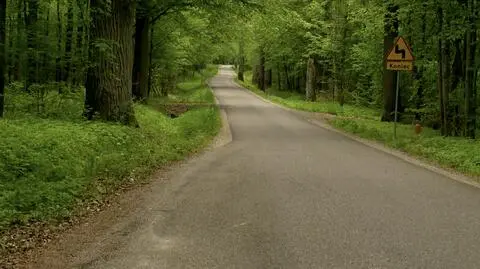 Tak obecnie wygląda trasa 