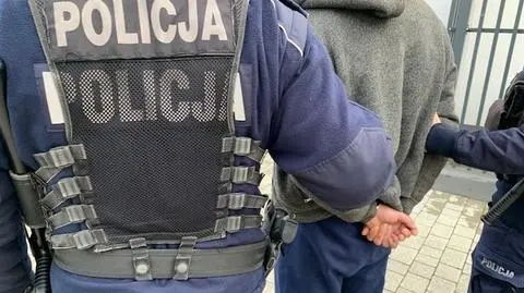 Na posesji znaleźli osiem martwych yorków. Za zabicie psów mają odpowiedzieć dwie osoby