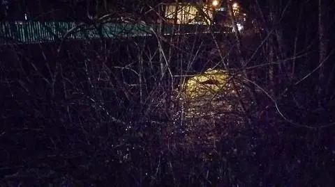 Dwie osoby wpadły do rzeki