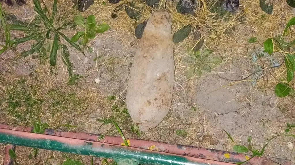 The children found the shell when playing outside