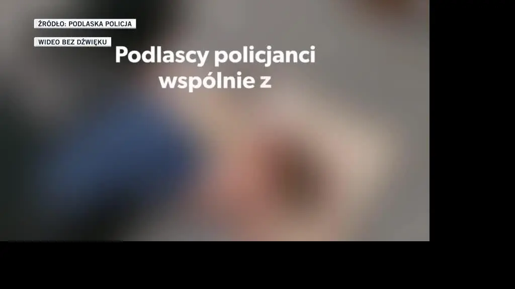 POLICJA