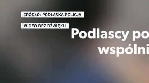 POLICJA