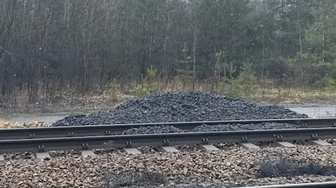 Usyp przy torach w Dąbrowie Górniczej 