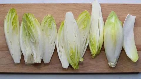 Cykoria - właściwości, uprawa, cena