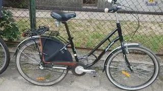 W dziupli były rowery wszelkiego rodzaju