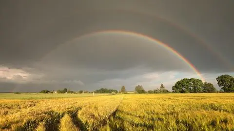 W czwartek będzie gorąco, parno i burzowo