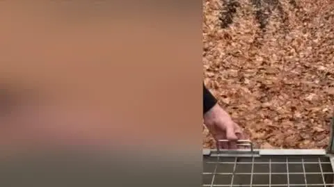 wideo gosia
