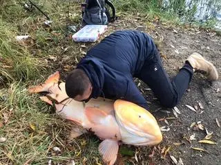 Okaz mierzył 138 cm i ważył 53 kg