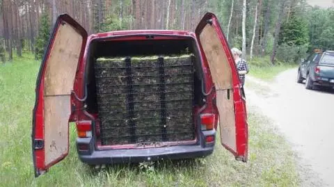 Zrobili "skok na mech", w aucie mieli już 150 skrzynek